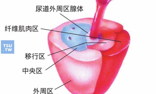 苦参素片说明书、苦参素胶囊价格 -兰信苦参素片价格网