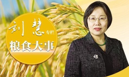 兰信苦参素片哪里有卖的-苦参素片说明书、苦参素胶囊价格 -兰信苦参素片价格网
